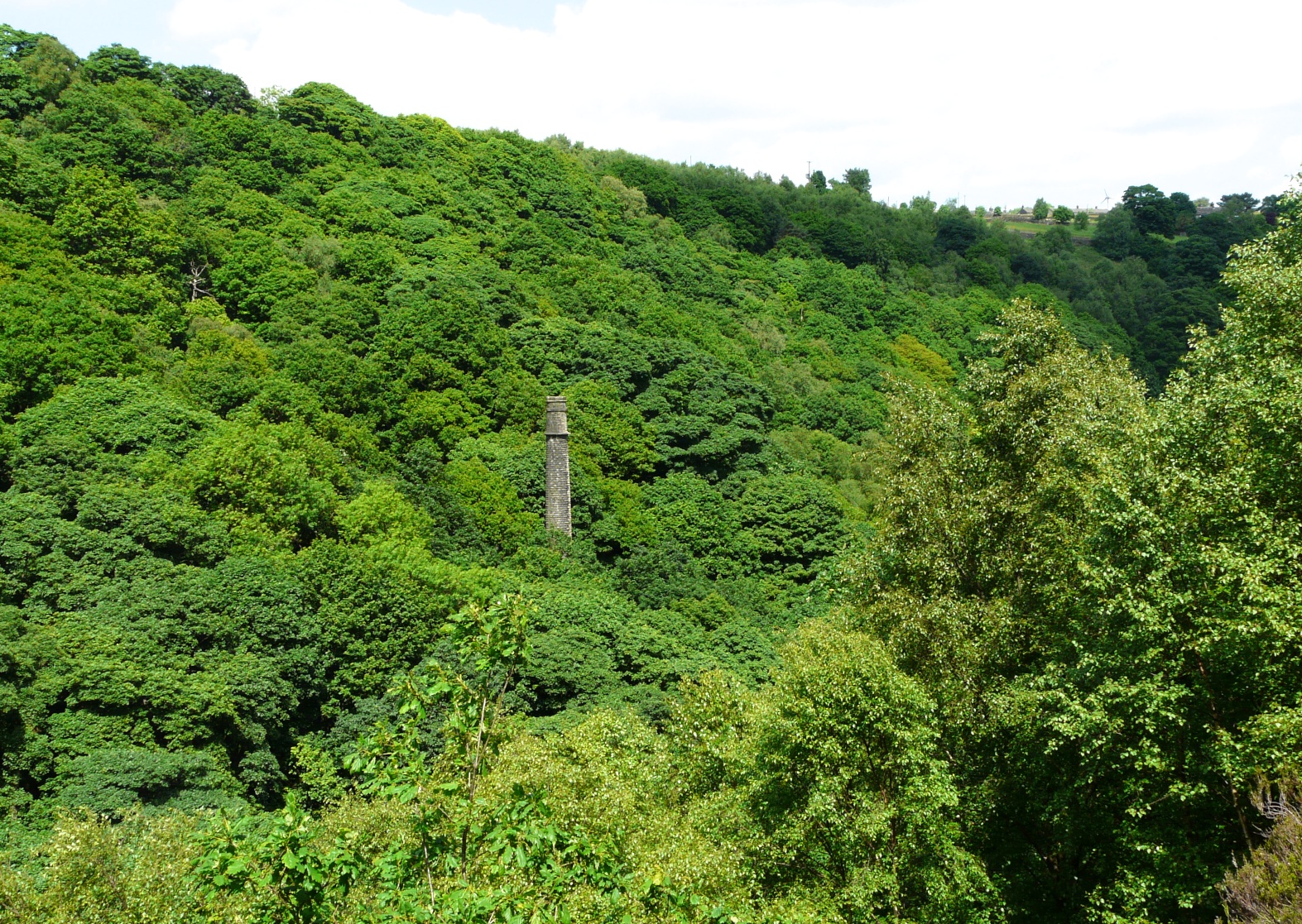 Lower and Upper Lumb Mills 1920